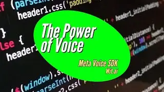 The Power of Voice pt 1: Meta Voice and Wit ai