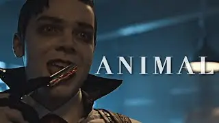 jeremiah valeska || animal