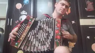 Шуйская гармонь Чайка