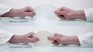 Elasticitet
