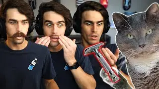 Don't Trust Your Cat