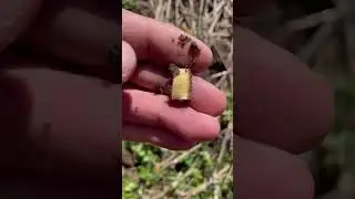 Я озолотился! Шок контент! Осторожно бурные эмоции! 