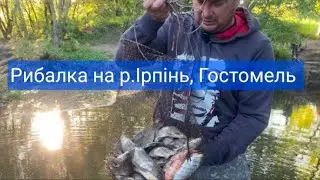Поїхали з друзями відпочити під Києвом на річку Ірпінь і наловили відро карасів