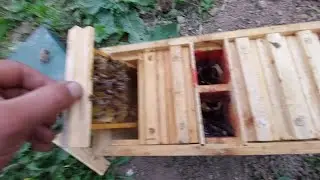 Секрети ушунда