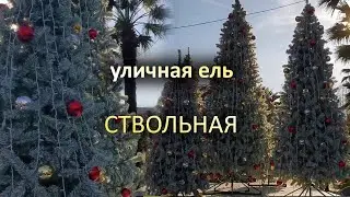 Уличная ствольная ель изумрудная "Альпийская"