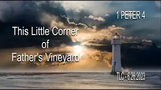 1 PETER 4 | TLC | 6 26 2023
