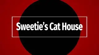 Sweetie's Cat House Walkthrough