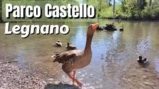 Parco Castello di Legnano / Parco del bosco di Legnano / Legnano (Milano), Italy (Lombardia) 2024