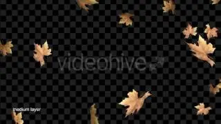 Leaves Falling Overlay | Background Animation Video