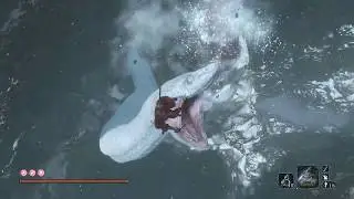[隻狼] 落ち谷からの大蛇ワープ - SEKIRO: SHADOWS DIE TWICE Giant Serpent Shortcut