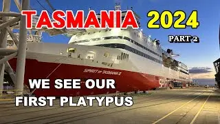 Tasmania 2024 / Pt 2 - We See Our First Platypus In The Wild & So Much More