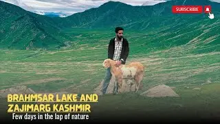 Zajimarg and Brahmsar Lake Kashmir Travel/Tour
