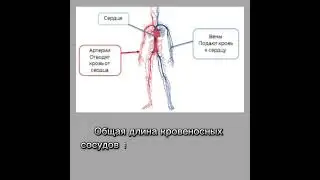 #интересные