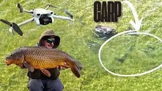 Catching Carp with a Drone