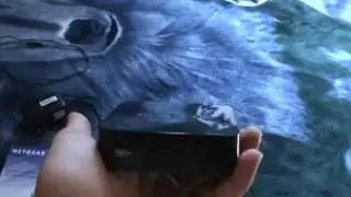 NeoTV (Internet Streaming Box) Review