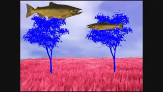 The Tale of the lonely Lobster - A poem