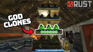 The Greatest SOLO Farm Base helped me thrive on Wipe Day - Rust Console