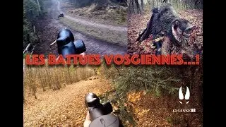 Les battues Vosgiennes...! Chasse aux Sangliers Blaser R8