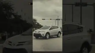 A Good Samaritan Saving A Duck