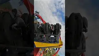 Would you ride this VERTICAL DROP coaster? 🦅 #rollercoaster #themepark #amusementpark #buschgardens