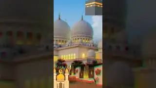 ammine