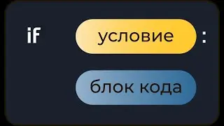 Урок второй. Условный оператор Python