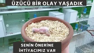 ACİL DURUM !!! - NASIL MÜDAHALE ETTİK
