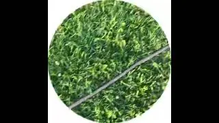#хазяева