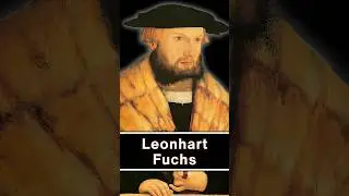 Leonhart Fuchs #leonhartfuchs #botany #fuchsia
