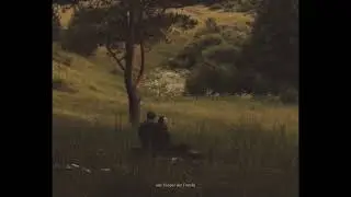 What Falling In Love Feels Like