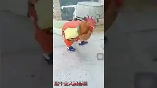 Животные в одежде приколы