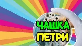 Agar.io - DOMINATING SERIES #2