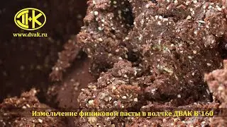 Измельчение финиковой пасты в волчке ДВАК В 160-01