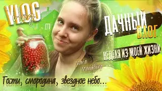 ДАЧНЫЙ ВЛОГ 🌻 Как это было?!