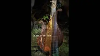 38” scale 5 string fretless bass played by Daniel Brunn #bassguitar #fretless #bassist #basssolo