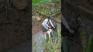 Tú đi bắt tôm càng