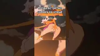One piece 1100 когда встретил на улице собаку 
