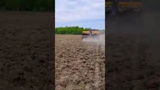 Сев горчицы белой по технологии прямого сева.