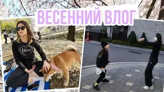 Весна в Корее ^^ Гуляем всей семьёй ;) KOREA VLOG