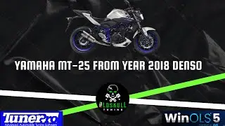 Yamaha MT-25 from year 2018 Denso ECU Tuning