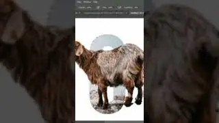 Letter manipulation in Photoshop / 3D effect.