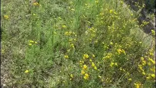Не нужно идти против природы