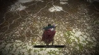 Elden Ring: Seamless coop pt.6
