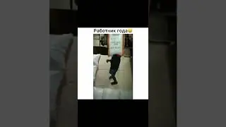 работник года#shorts