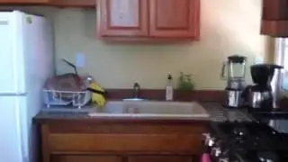 Sonoma Cottage