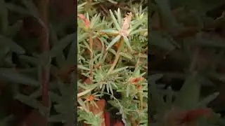 Доброе утро!!!