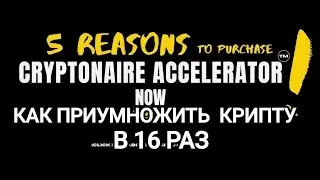 🤑 КАК ПРИУМНОЖИТЬ КРИПТУ В 16 РАЗ ❓Cryptonaire Network | Бонус на 50$ в монете UNITED 🎁