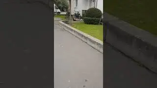 Roblox IRL needs help !