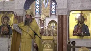 "Как увидеть Бога?". Слово архимандрита Мелхиседека (Артюхина) в Неделю о Закхее.