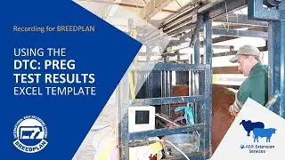 Using the Days To Calving: Preg Test Results Excel Template